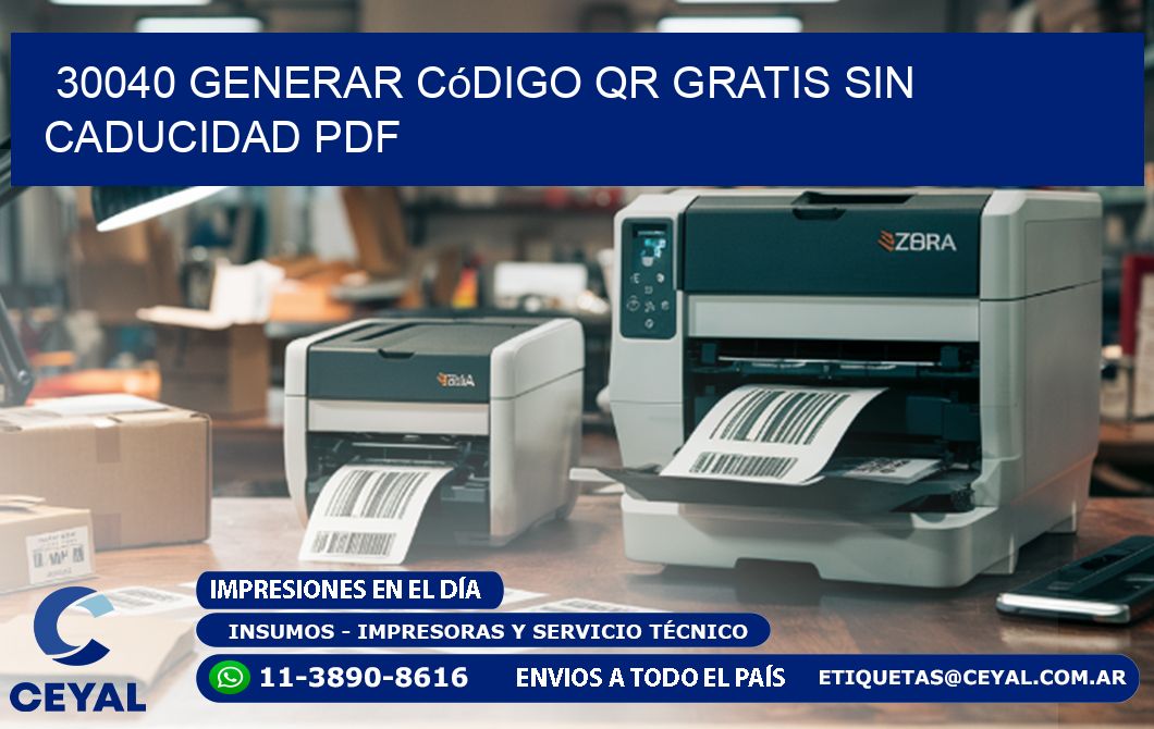 30040 Generar código QR gratis sin caducidad PDF