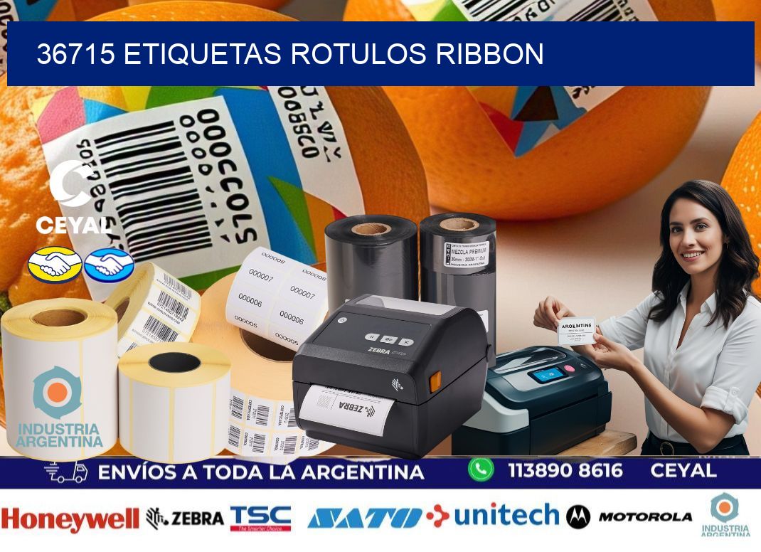 36715 Etiquetas rotulos ribbon
