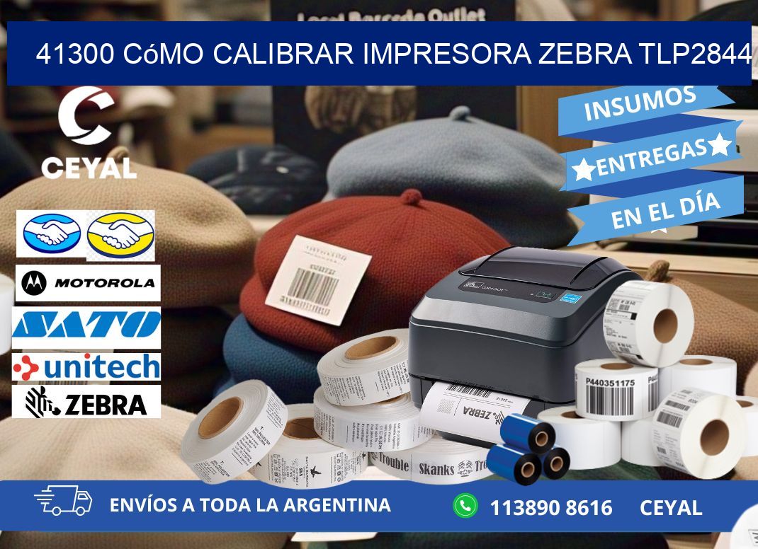 41300 cómo calibrar impresora zebra TLP2844