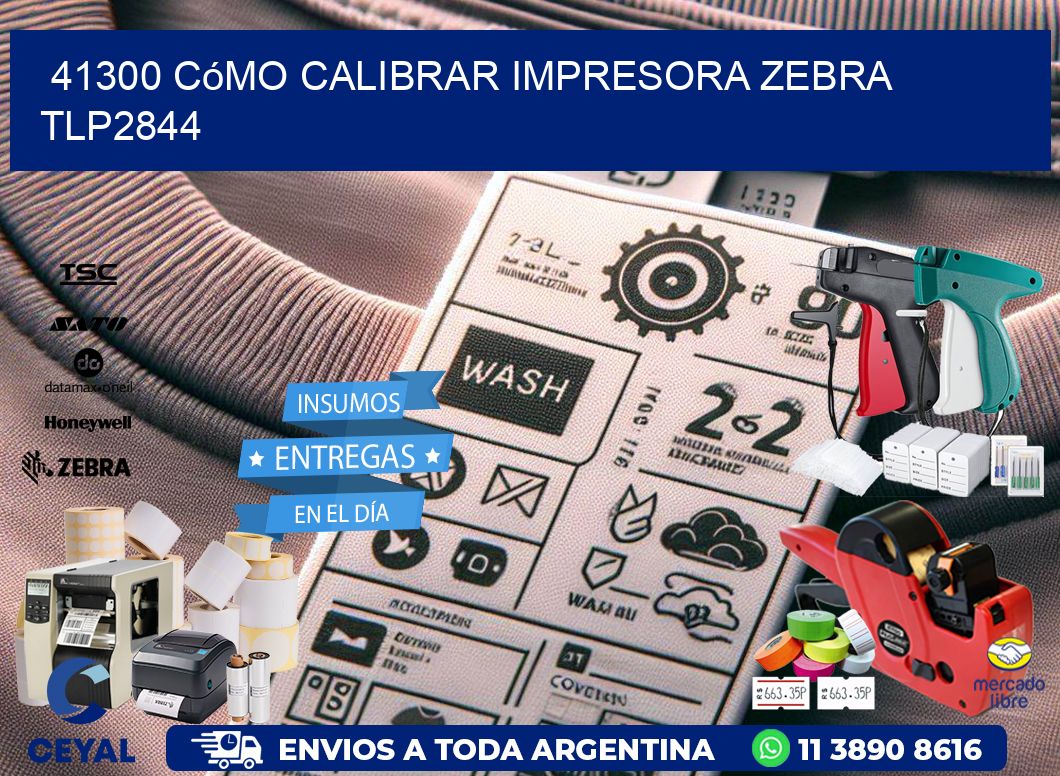 41300 cómo calibrar impresora zebra TLP2844