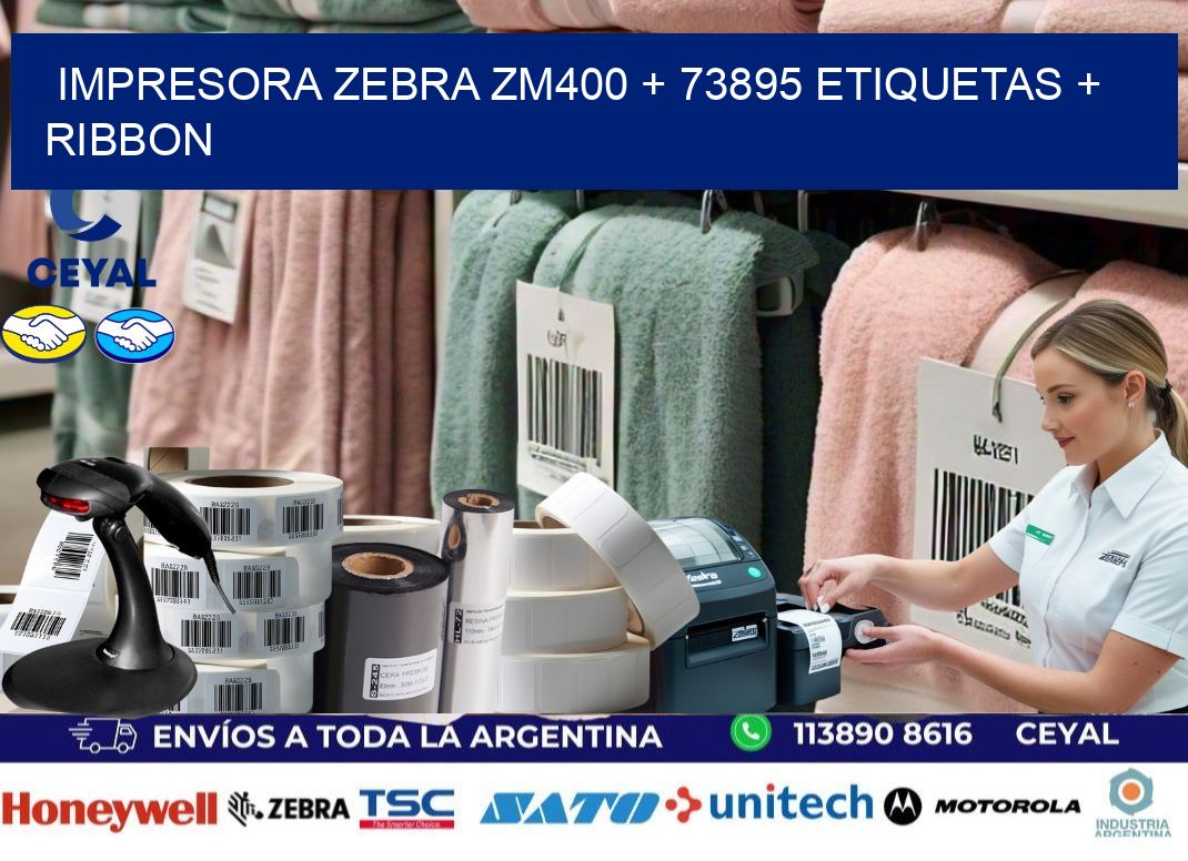 impresora zebra zm400 + 73895 etiquetas + ribbon