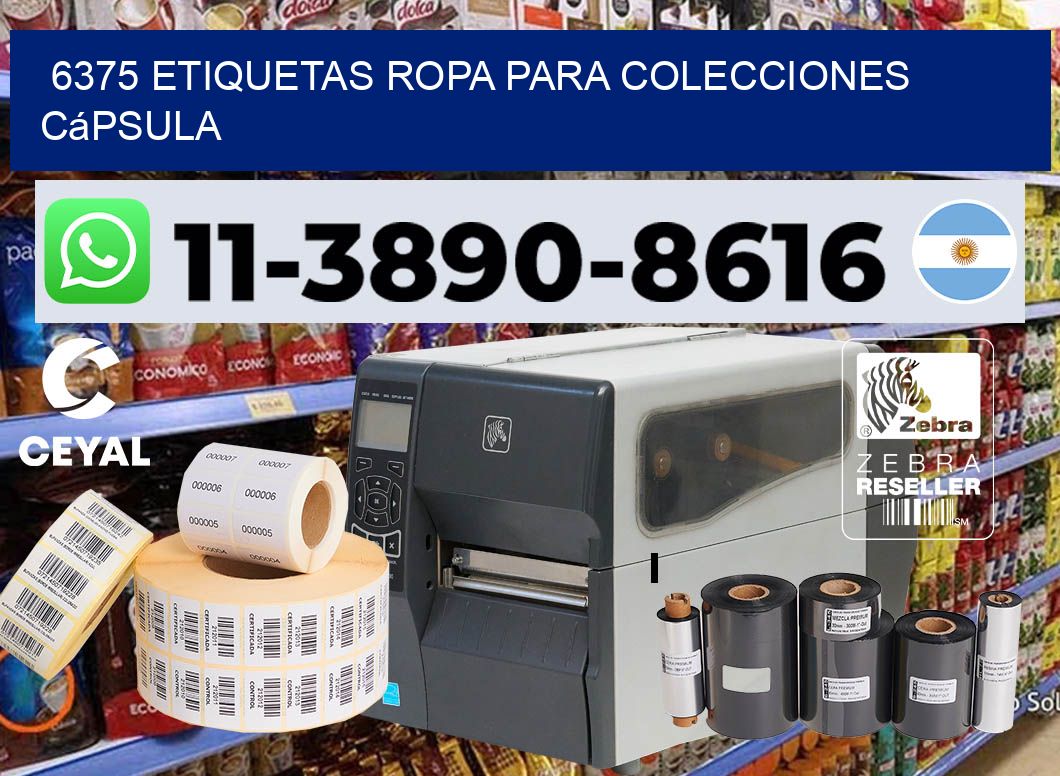 6375 Etiquetas ropa para colecciones cápsula