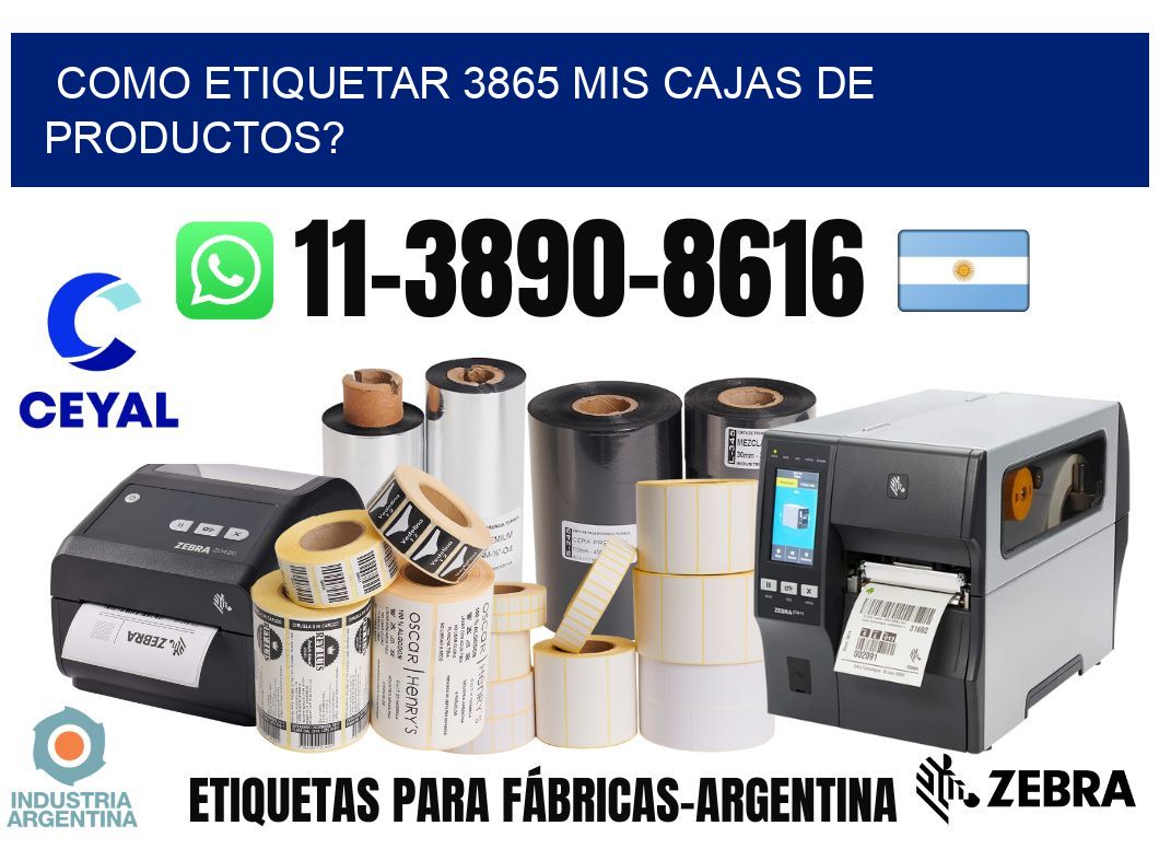 como etiquetar 3865 mis cajas de productos?