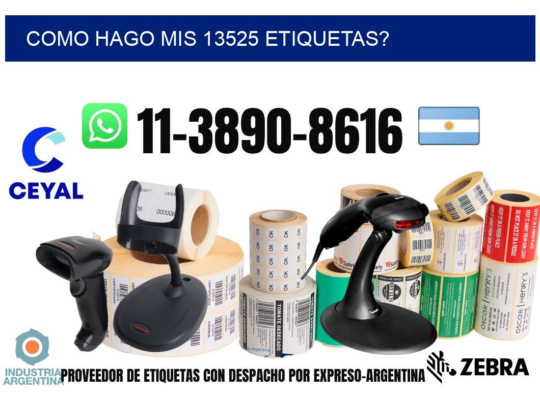 como hago mis 13525 etiquetas?