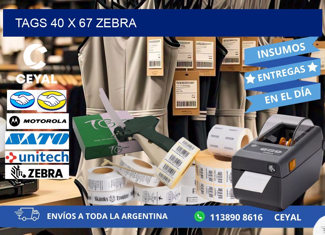 tags 40 x 67 zebra