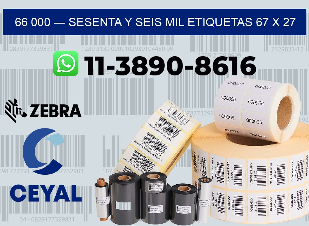 66 000 — sesenta y seis mil etiquetas 67 x 27