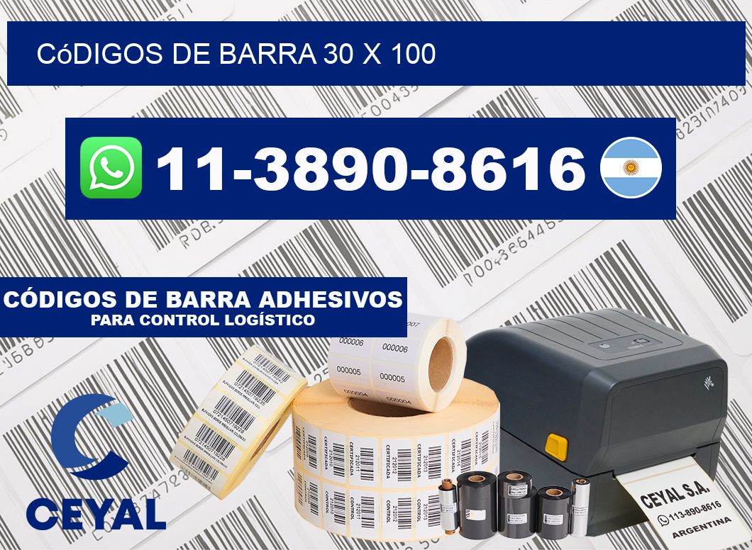 códigos de barra 30 x 100