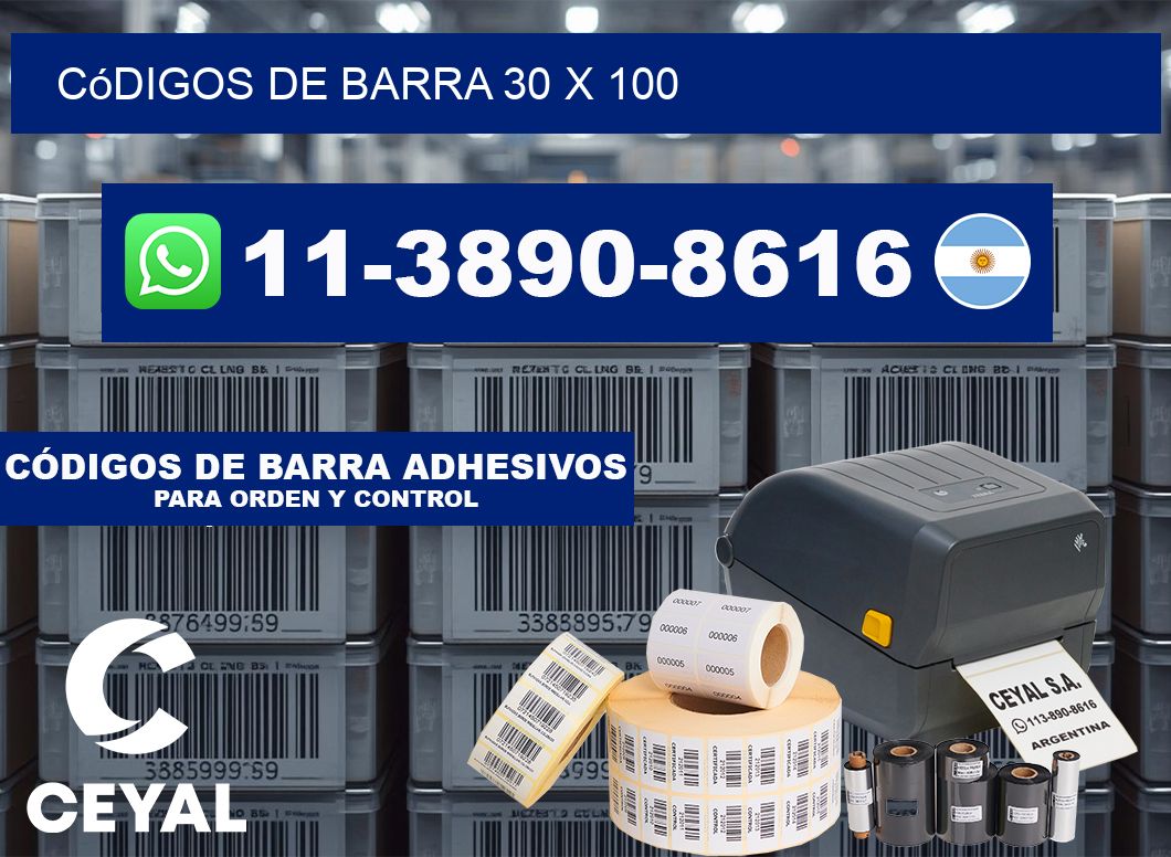 códigos de barra 30 x 100